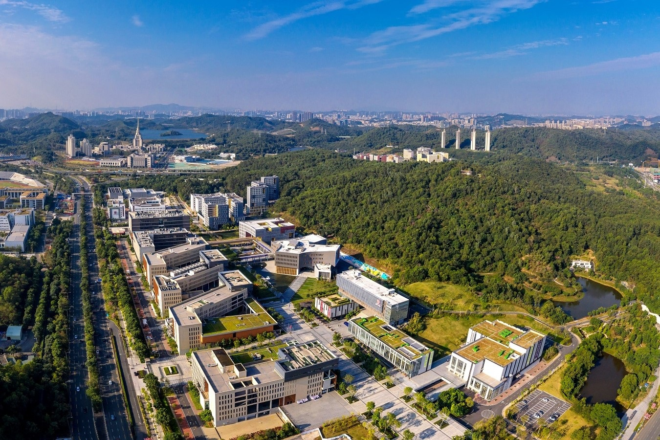 香港中文大學（深圳）航拍圖（圖片來源：視覺中國）