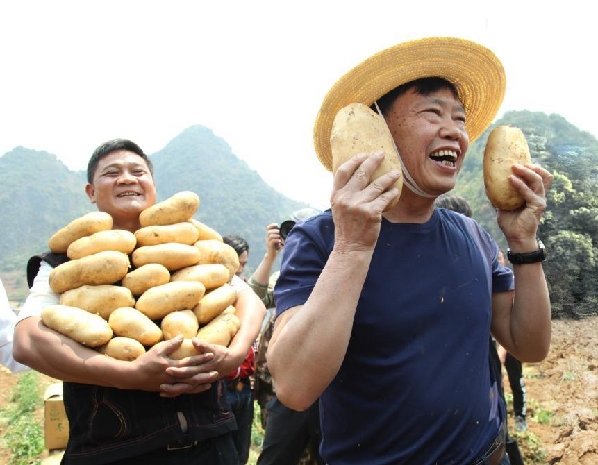 malingshu-zhuyouyong.jpg